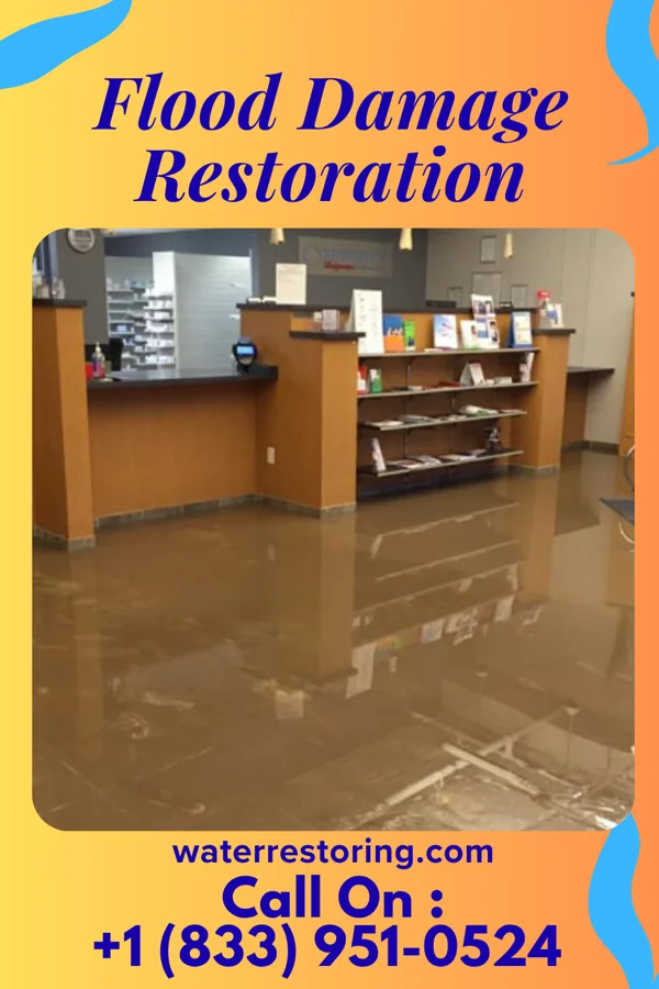 Flood Damage Restoration in Pine Manor, FL