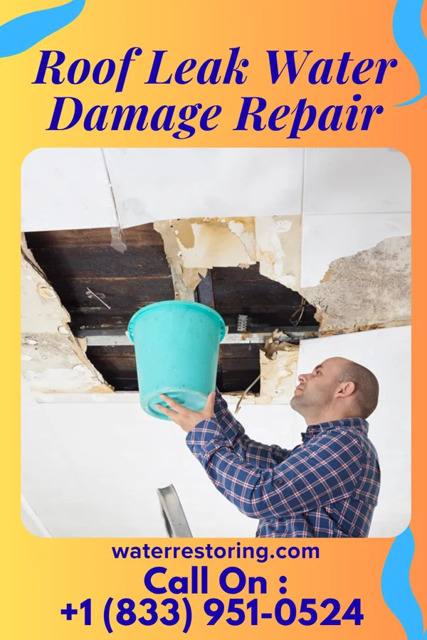 Roof Leak Water Damage Repair in Pine Manor, FL