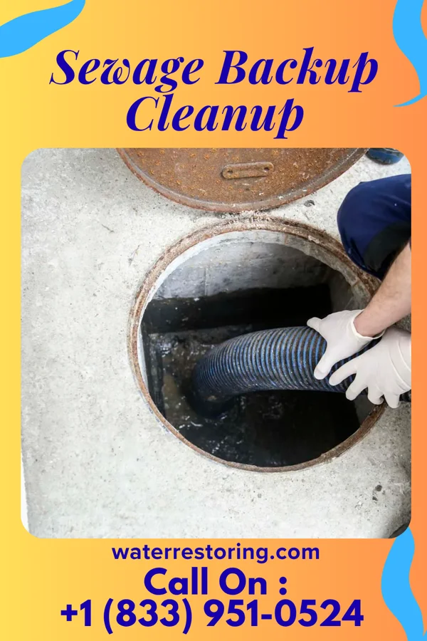 Sewage Backup Cleanup in Pine Manor, FL